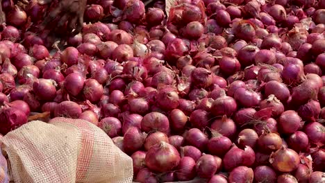 fresh organic onion from farm close up from different angle