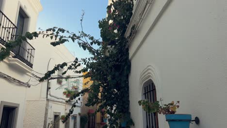 Un-Hermoso-Paseo-Vecinal-Con-Paredes-Blancas-Y-Plantas-Colgadas-En-Macetas-Azules