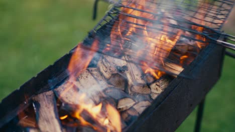 la quema de leña y la captura de llamas calientes en la parrilla de la barbacoa preparación de alimentos de cerca