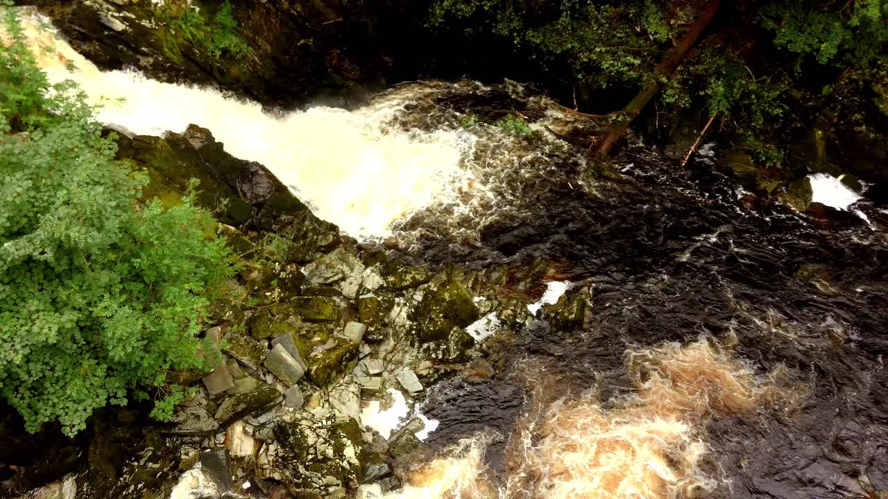 두 개의 강 폭포 사이에 있는 나무의 공중 전망