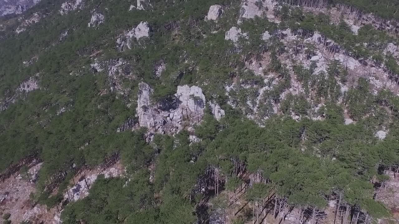 vista aérea de un bosque de montaña con rocas