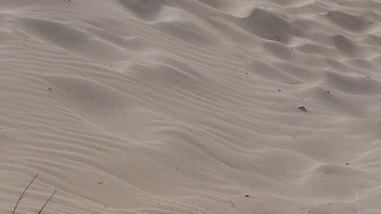 Sand dunes on the Black Sea coast. Bulgaria. Beautiful formations.