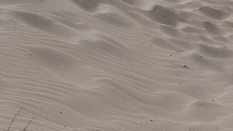 sand dunes on the black sea coast. bulgaria. beautiful formations.