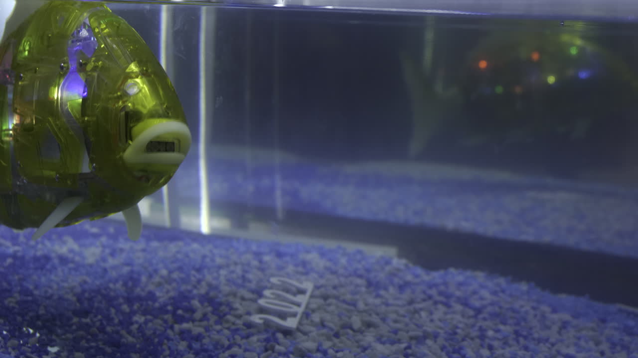 pez robot en el acuario