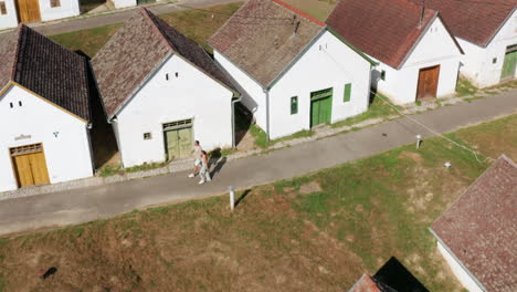 hileras de bodegas de casas de prensa de vino en la ladera de la aldea de palkonya, condado de baranya, hungría