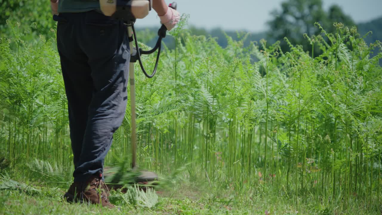 Un giardiniere usa un potente decespugliatore per eliminare felci e erbacce incolte in un campo verde lussureggiante. Scatto d'azione di manutenzione del giardino, servizi di paesaggistica professionali e lavori all'aperto.