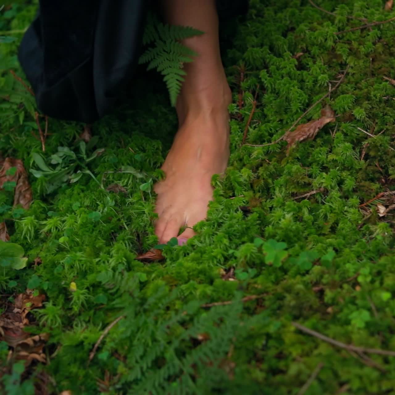 Delicate female feet walking in summer. Young girl's bare feet feeling the softness of the green moss. Female's legs on soft moss in the woods. Natural beauty.