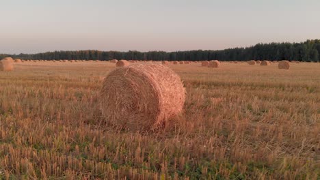 aerial: bales of straw lie in a cleared field