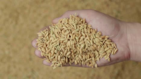 hand caryring rice grains in slow motion, black background