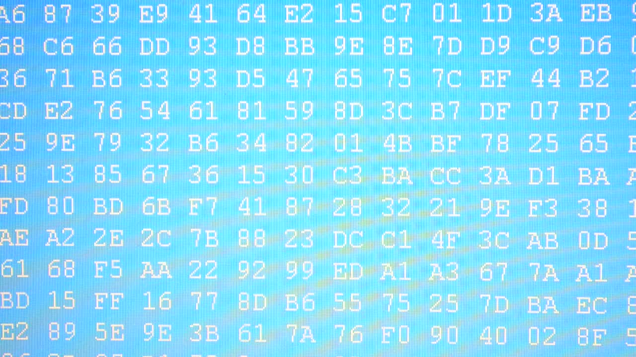 Shooting of a binary code. Blue binary code. Hexadecimal program code on screen. Animated background of moving binary code numbers