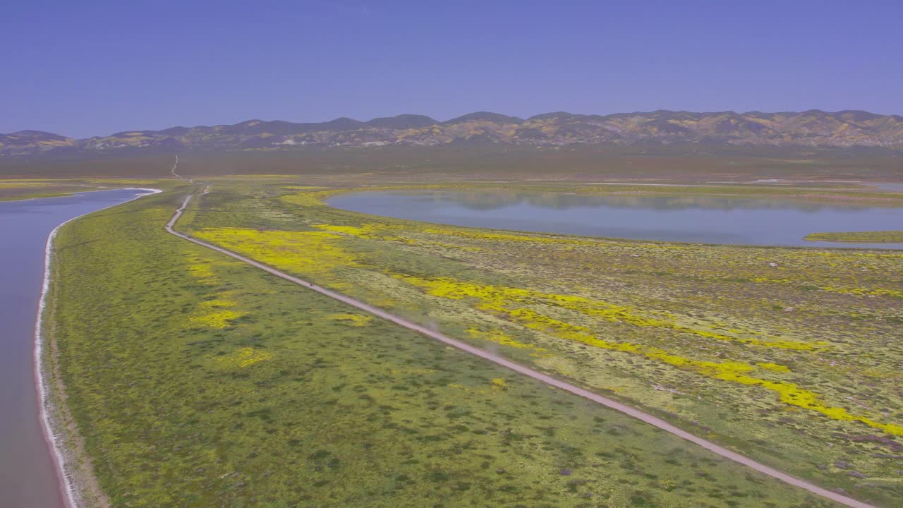 Aerial Bird's Eye View of Carrizo Plain in California During the Superbloom