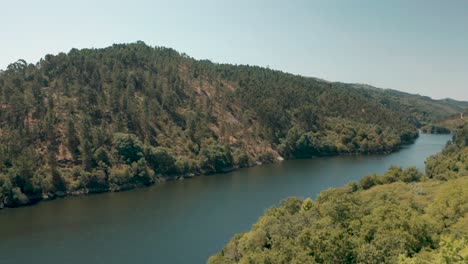 Drohne-Fliegt-über-Wald-Und-Fluss-4k