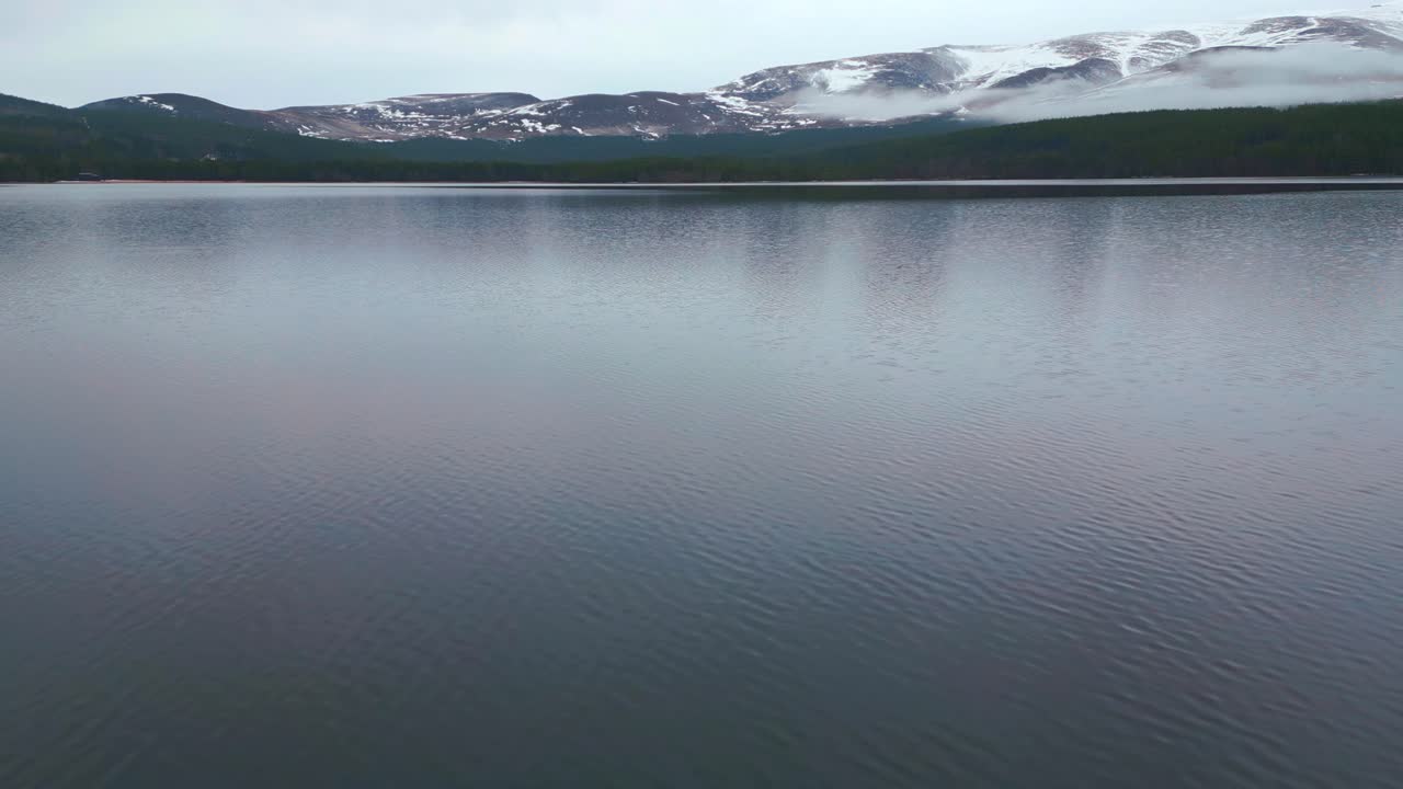수면 위로 앞으로 날아간다