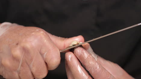 the chef peeling off the top shell of quail egg with a sharp knife - closeup shot slow motion