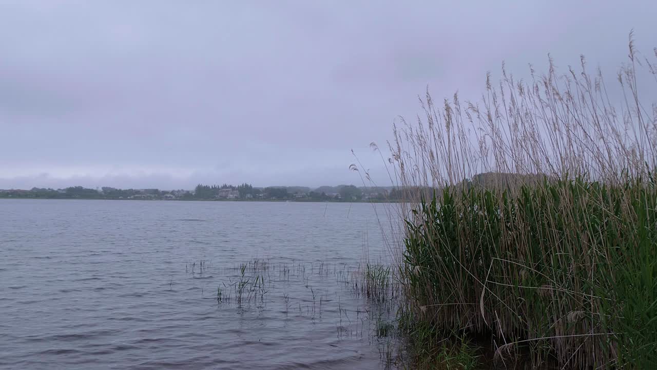 일본 의 후지 산 에 있는 카와구치코 호수 - 유명한 후지야마