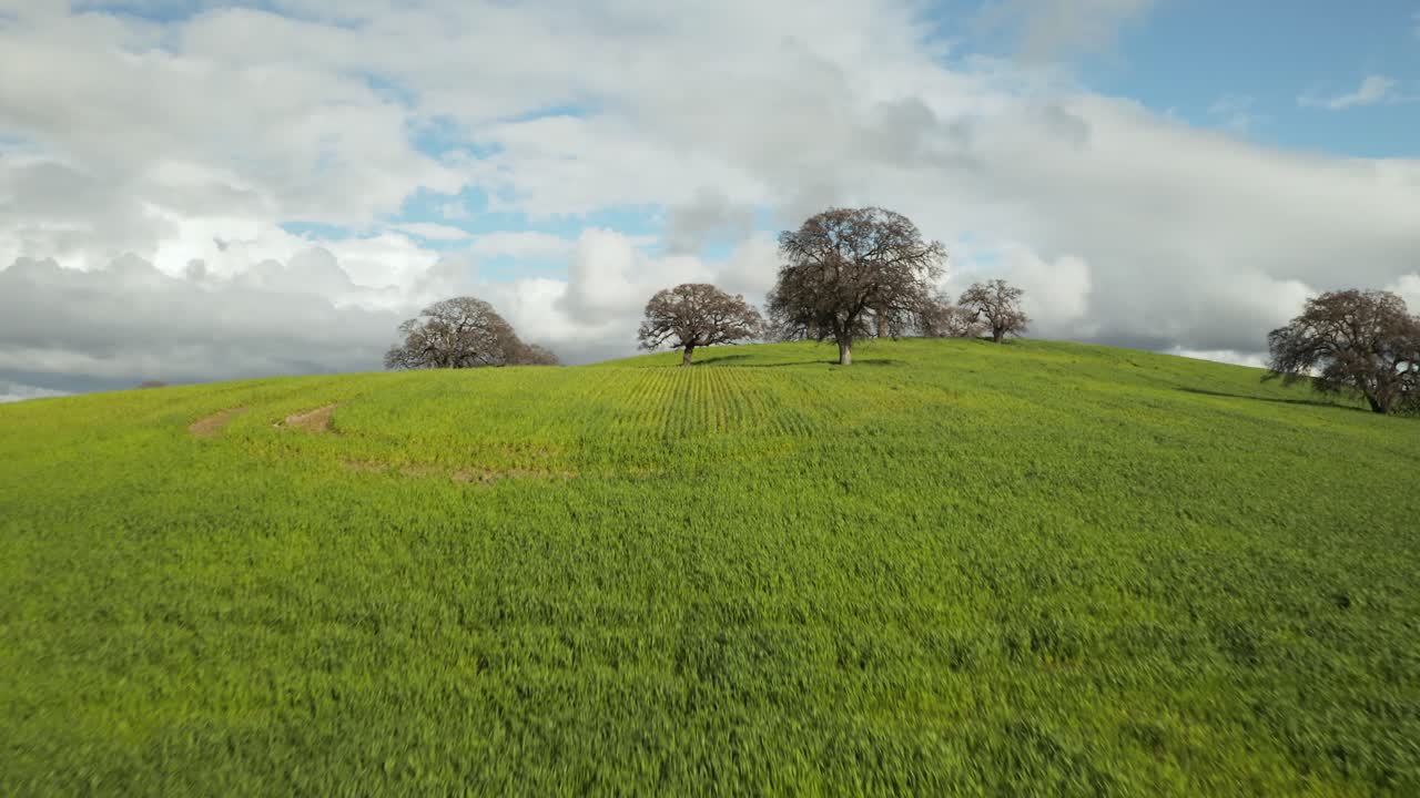 toma aérea de la carretera que conduce a verdes colinas onduladas con cielo azul y nubes blancas y árboles en la carretera rural