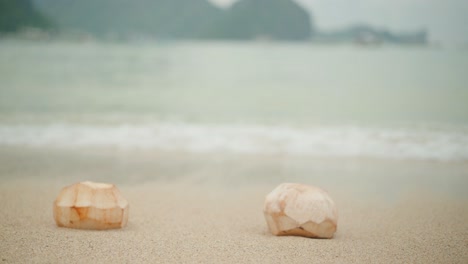 un par de frutos de coco pelados en la playa de arena blanca de el nido, filipinas con las olas rodando y montañas en el fondo - cerrar