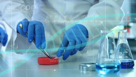 Animation-of-data-processing,-dna-structure-on-mid-section-of-female-scientist-working-at-laboratory