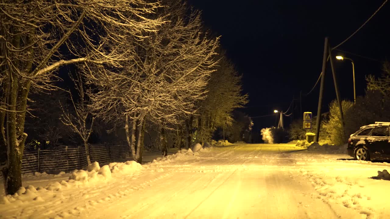 paisaje invernal del parque de la ciudad por la noche