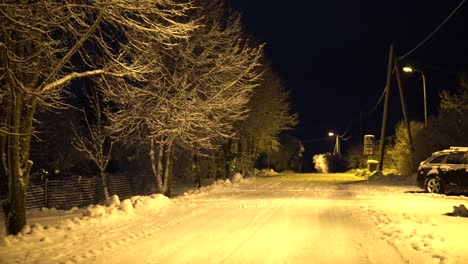 winter landscape of city park at night