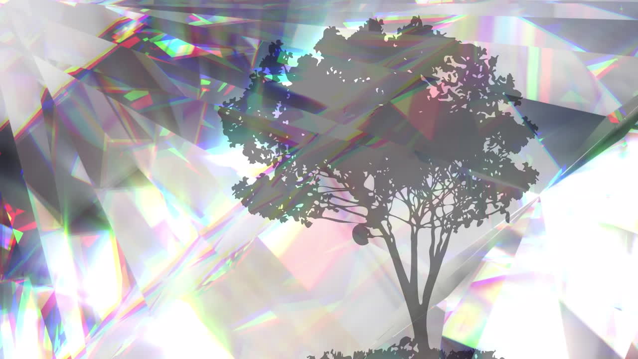 animación de cristales brillantes sobre la silueta del árbol.