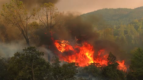 Wildfires-Are-Spreading-Quickly,-Branches-And-Plants-Burning-In-the-Mountains