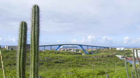 overlooking the vibrant city of willemstad and the queen juliana bridge on the caribbean island of curacao