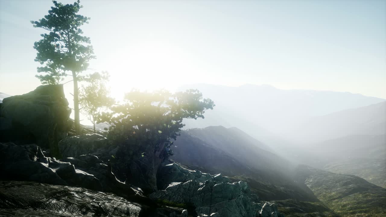 太陽的光線穿過樹木