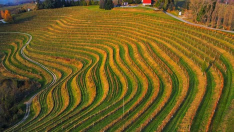 Impresionantes-Imágenes-Aéreas-De-Drones-4k-De-Una-Región-Vinícola-De-Jerusalén,-Eslovenia