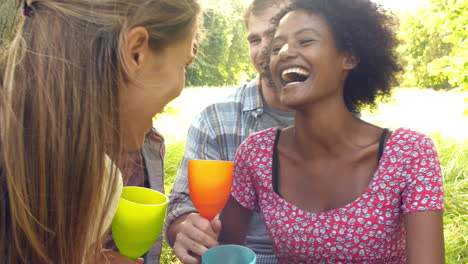 four friends drinking in the countryside and making a toast