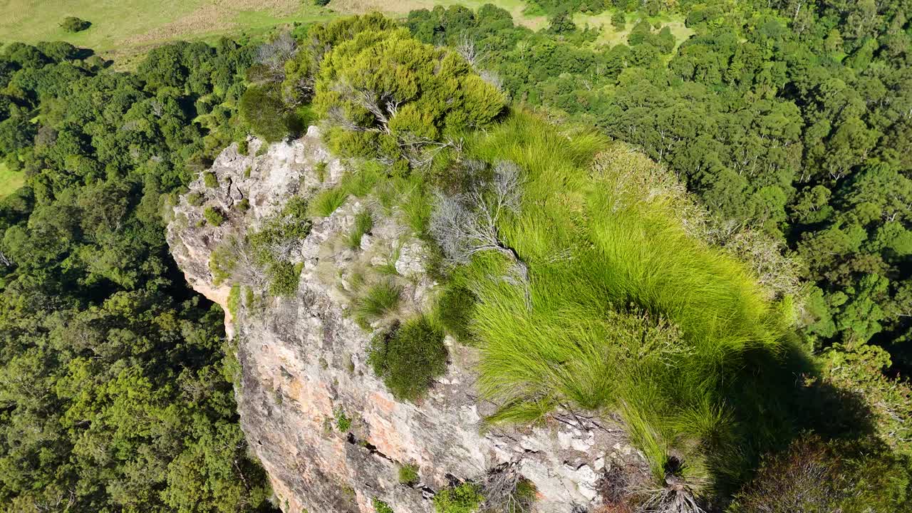 Drone footage captures the vibrant greenery and rocky formations of Nimbin Rocks, highlighting the natural beauty of the Australian landscape