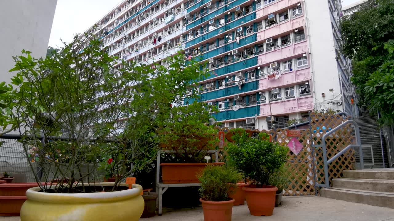 Miljøvenlig have, gør-det-selv pottede planter fra beboer nær værtshus i den gamle bydel, Wong Chuk Hang, Hong Kong
