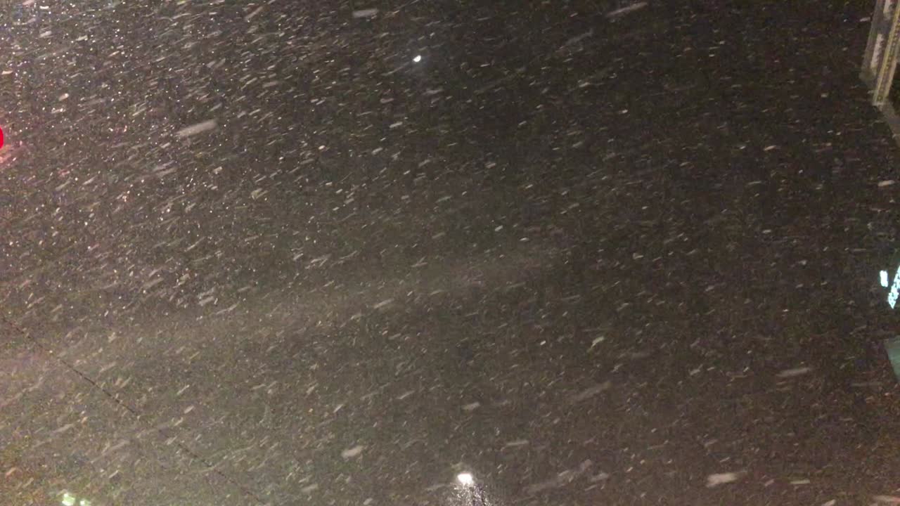 큰 눈과 작은 눈알이 내리는 겨울