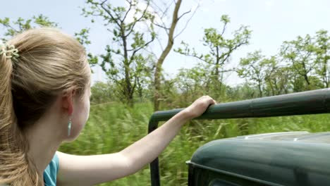 open roof jeep safari in rainforest, chitwan national park, nepal.