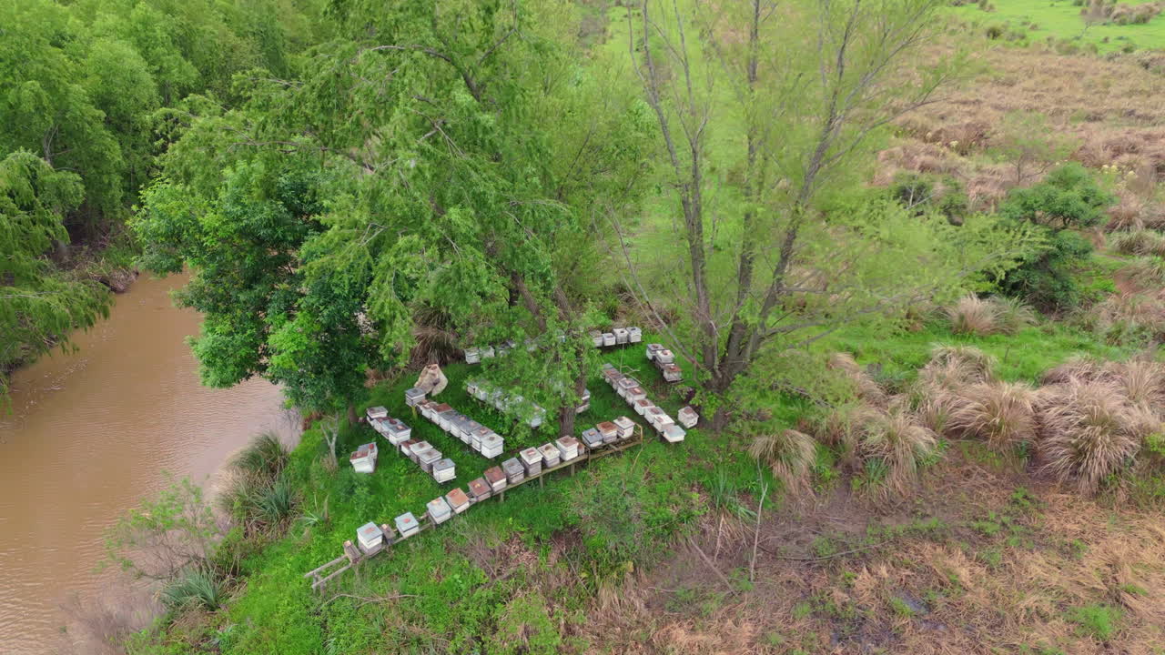 Beekeeping setup near a river, surrounded by lush greenery and trees, aerial view