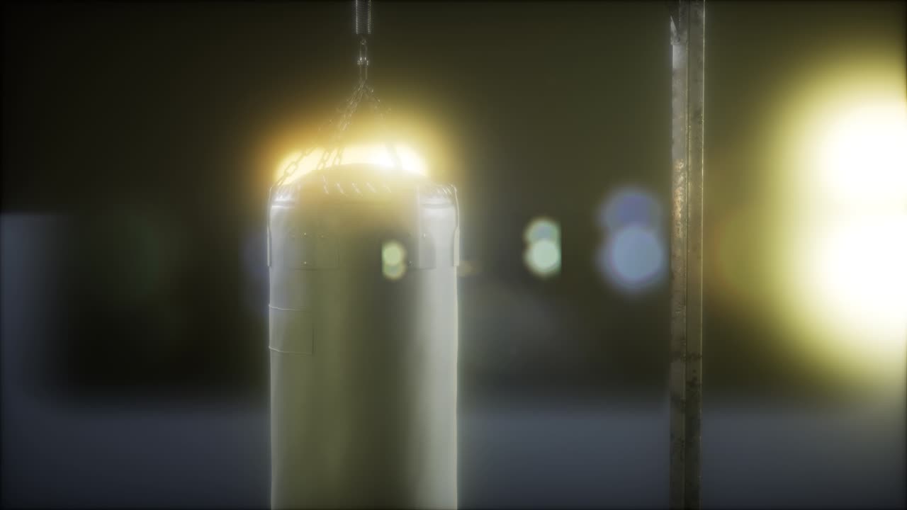 권투 또는  ⁇  권투 스포츠를 위한 권투 가방