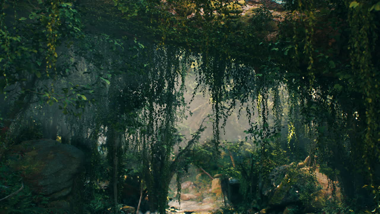 un camino místico de la jungla