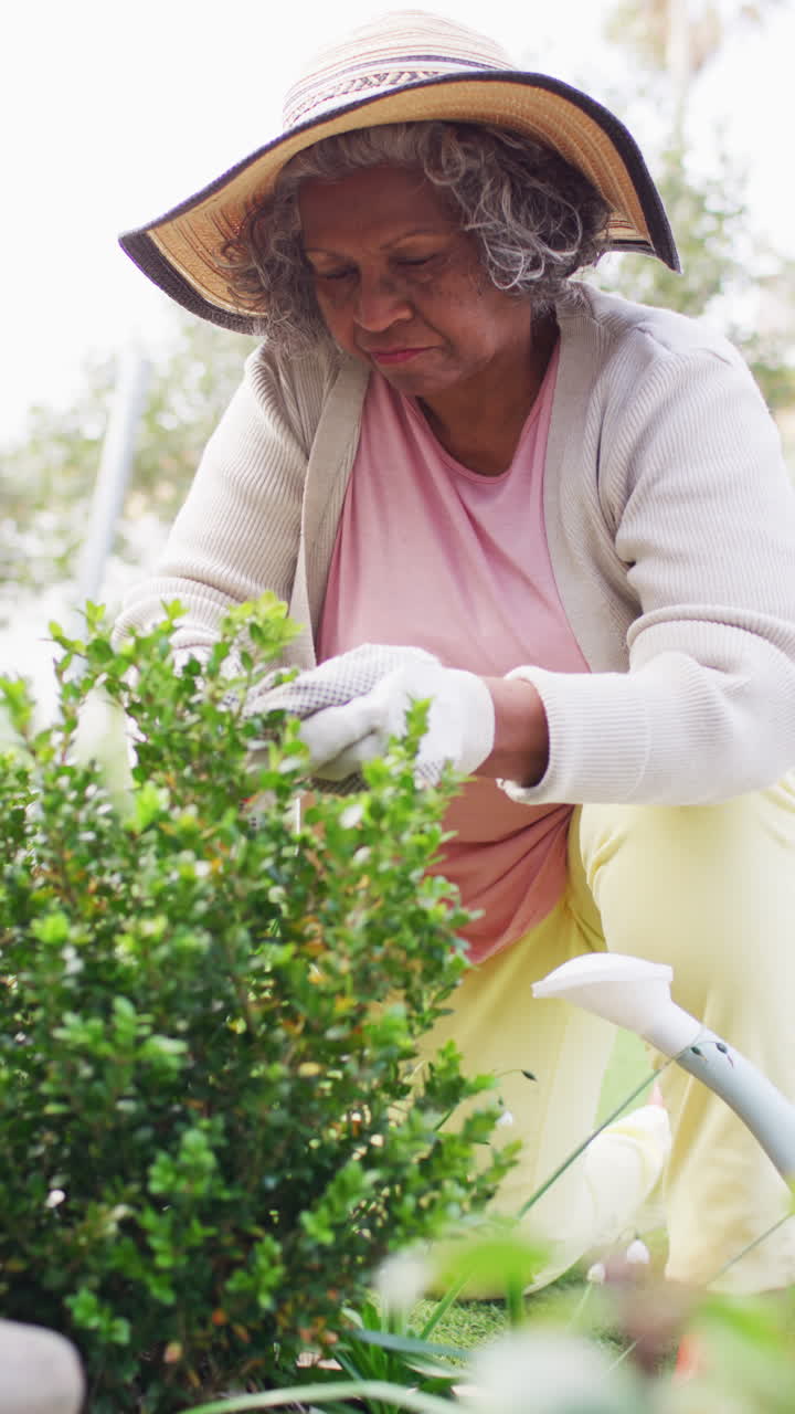 정원에서 일하는 행복한 노인 아프리카계 미국인 여성의 수직 비디오