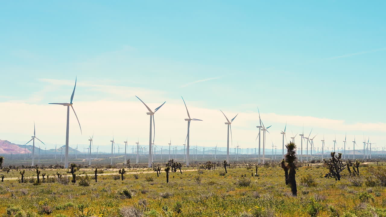 granja de molinos de viento con un día ventoso en el valle del desierto con árboles y flores de joshua