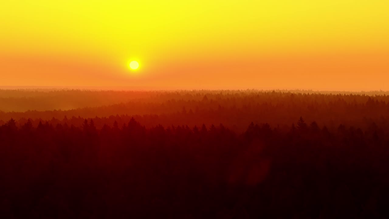 Drone glides left as sunrise reveals misty trees in Latvia Ķemeri National Park