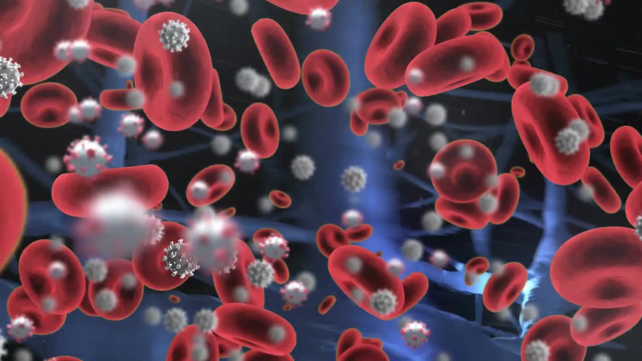 animación de covid 19 y glóbulos rojos flotando en el organismo sobre un fondo negro