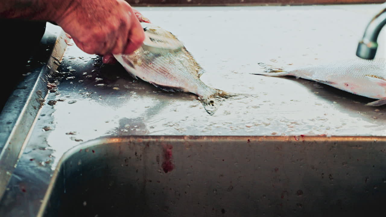 Hands of a fishmonger vigorously cleaning and scaling a fish at a stainless steel sink, water splashing around in a busy market preparation scene