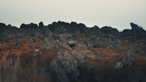 un paisaje extravagante de la costa varanger