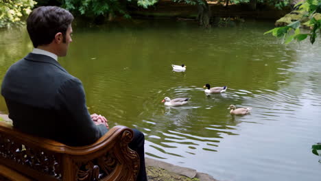 man sits on a bench by a pond, watching ducks