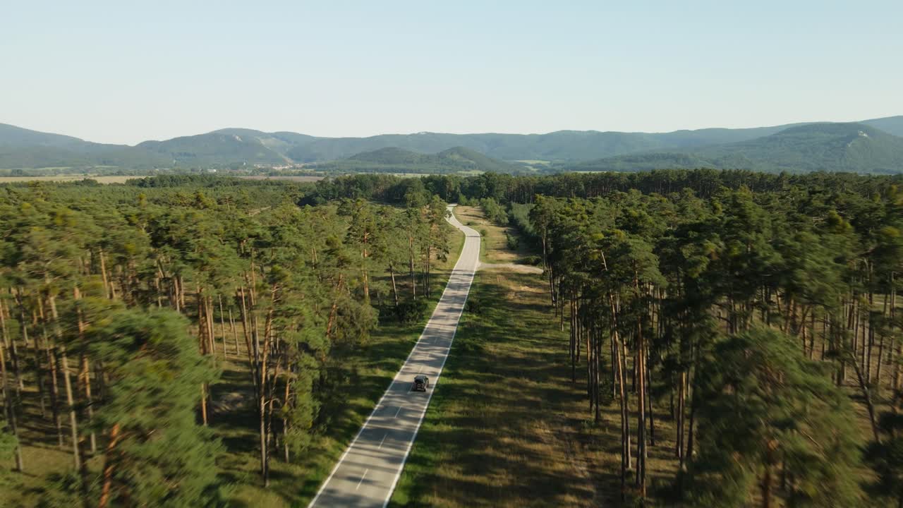 un solo coche pasando por una carretera vacía en el bosque de pinos