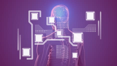 animation of integrated circuit over rotating model of human body