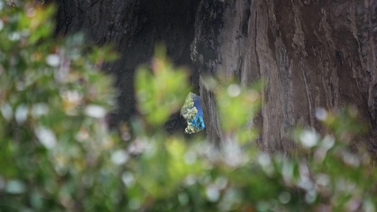 Das türkisfarbene Mittelmeer, gesehen durch einen Felsspalt und Vegetation auf Capri.