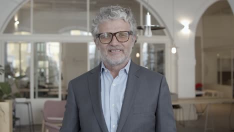 positive handsome mature businessman wearing office jacket