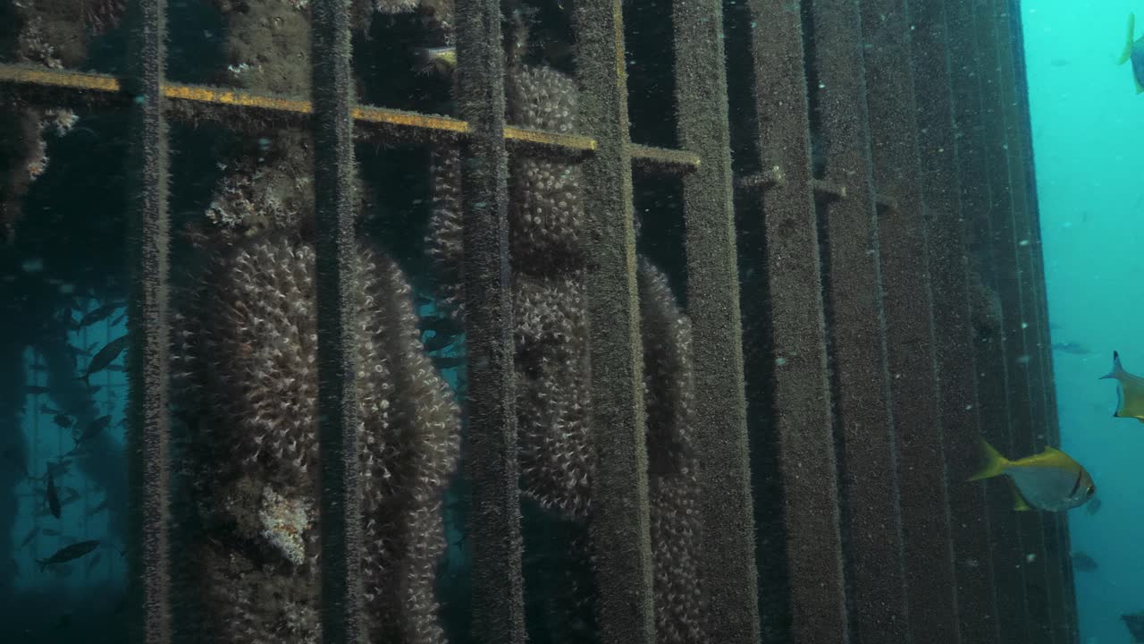 바다 깊은 곳에 건설된 담수화 플랜트 입구 인프라의 독특한 수중 풍경