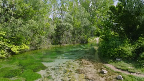 Crystal-clear-natural-spring-water-of-Cetina-River,-Croatia